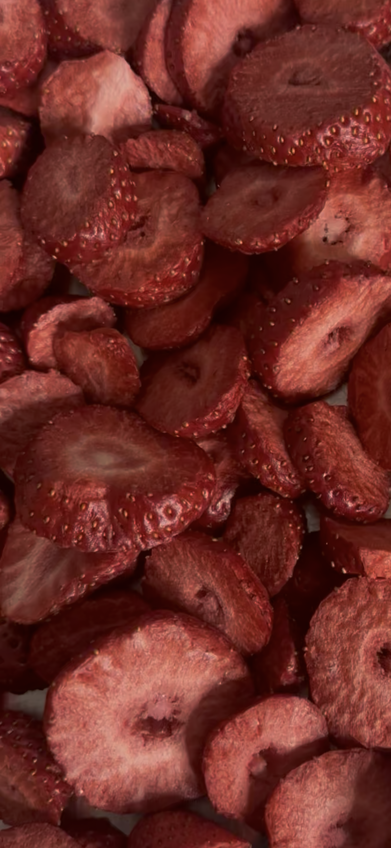Fraises du Québec