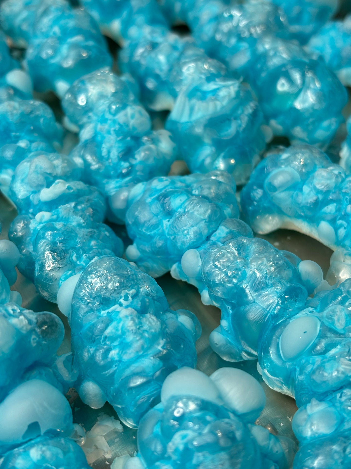 Petits Requins Bleus