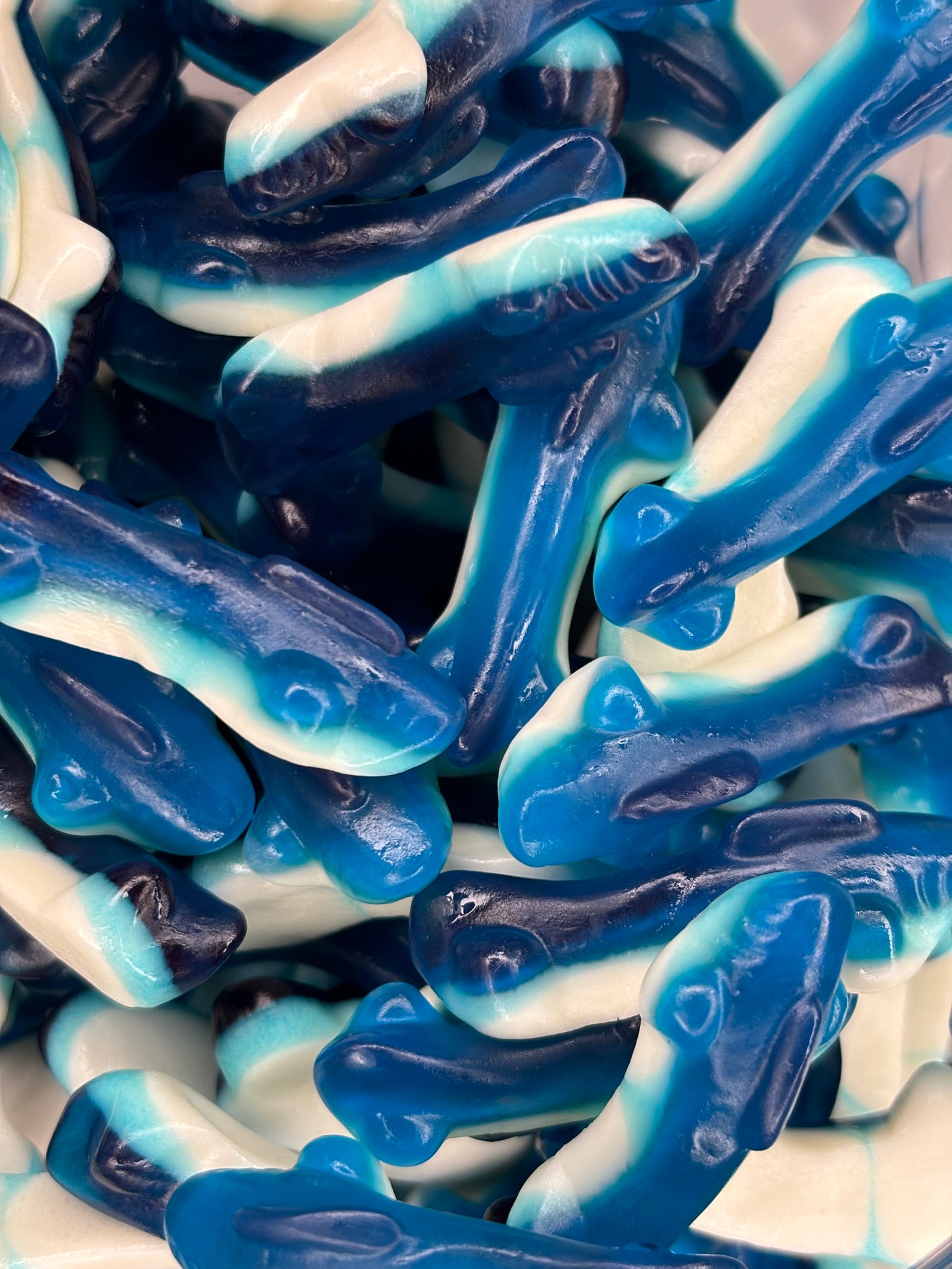 Petits Requins