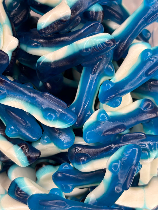 Petits Requins